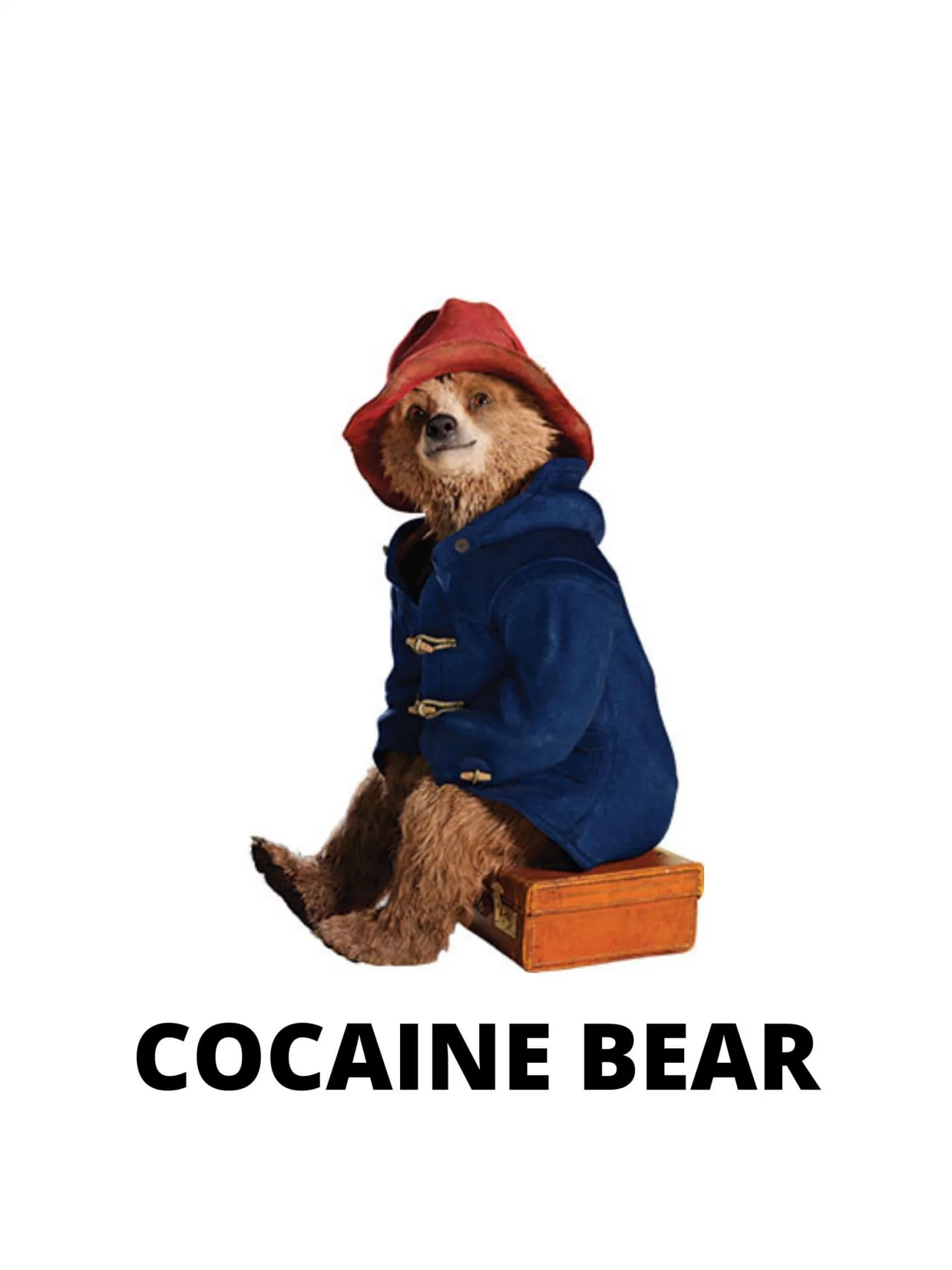 Photo 2 du film : Cocaine Bear