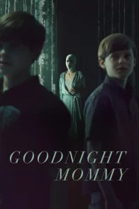 Affiche du film : Goodnight Mommy