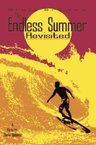Affiche du film : The Endless Summer Revisited