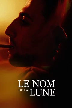 Affiche du film = In the name of the moon