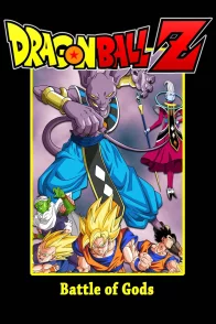 Affiche du film : Dragon Ball Z - Battle of Gods