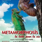 Photo du film : Metamorphosis, la lutte pour la vie