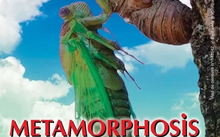 Photo du film : Metamorphosis, la lutte pour la vie