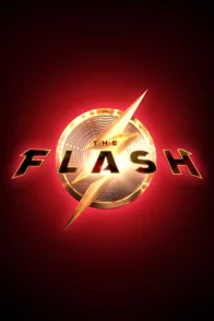 Affiche du film : The Flash