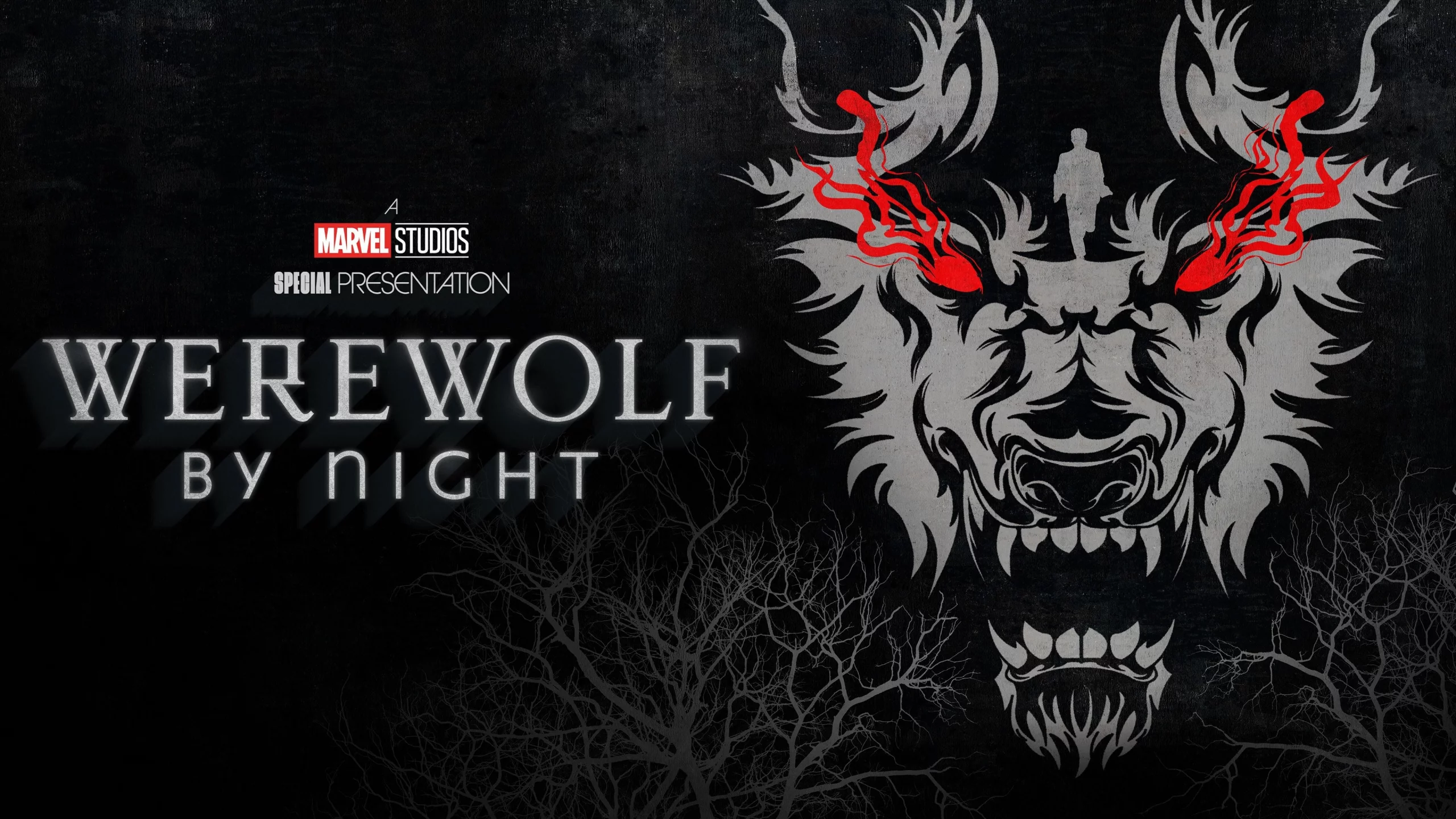 Photo 1 du film : Werewolf by Night