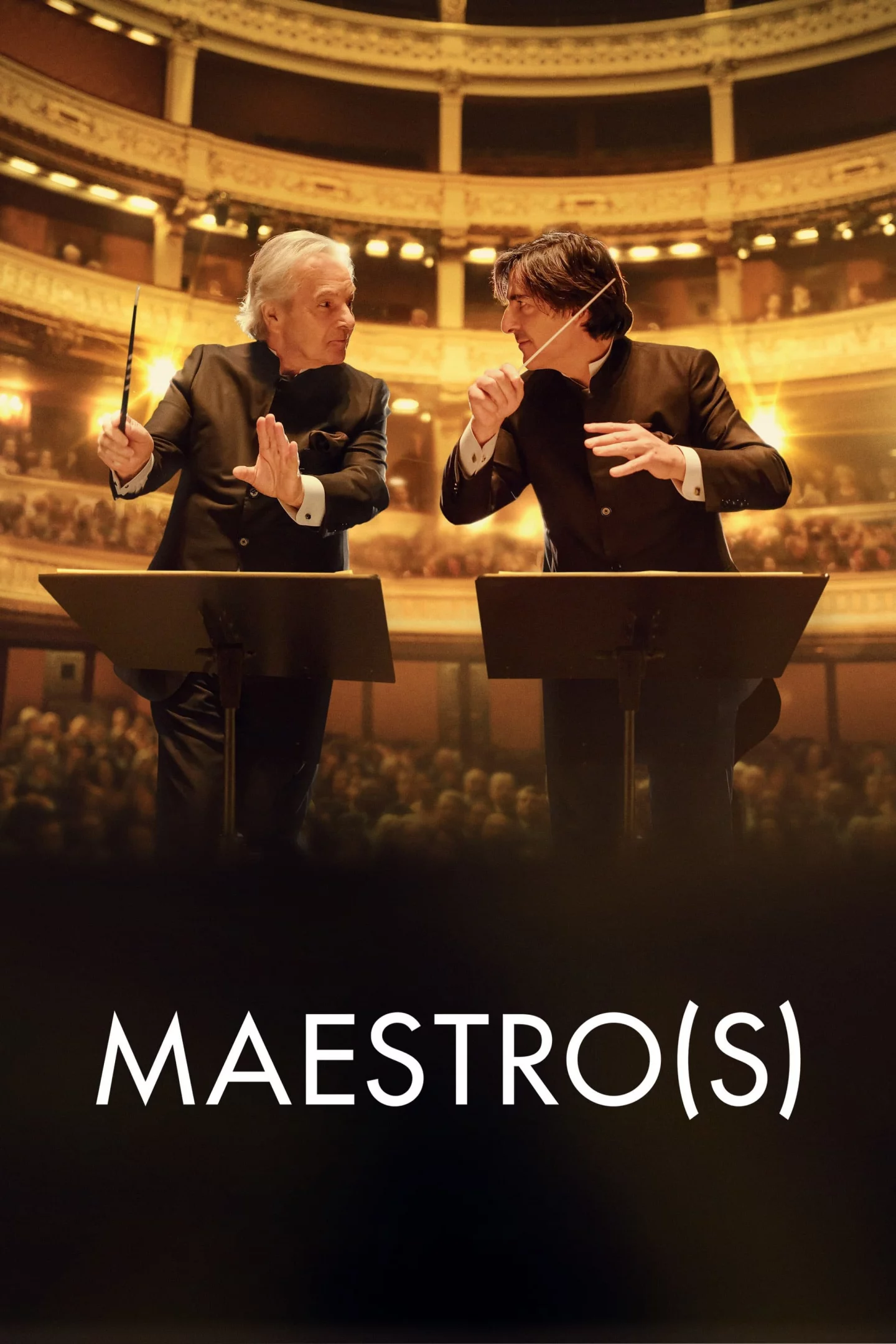 Photo 1 du film : Maestro(s)