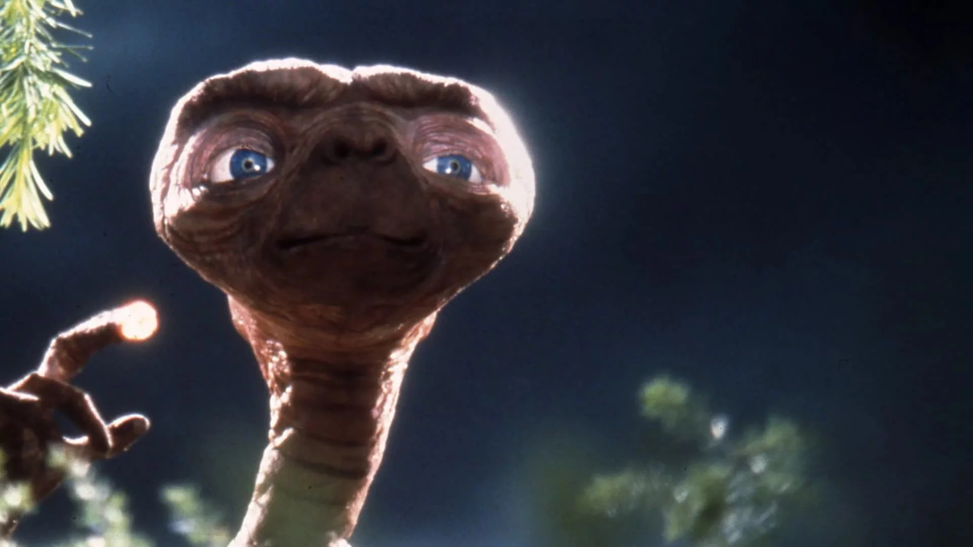 Photo 4 du film : « E.T. », un blockbuster intime
