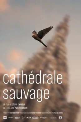 Affiche du film Cathédrale Sauvage