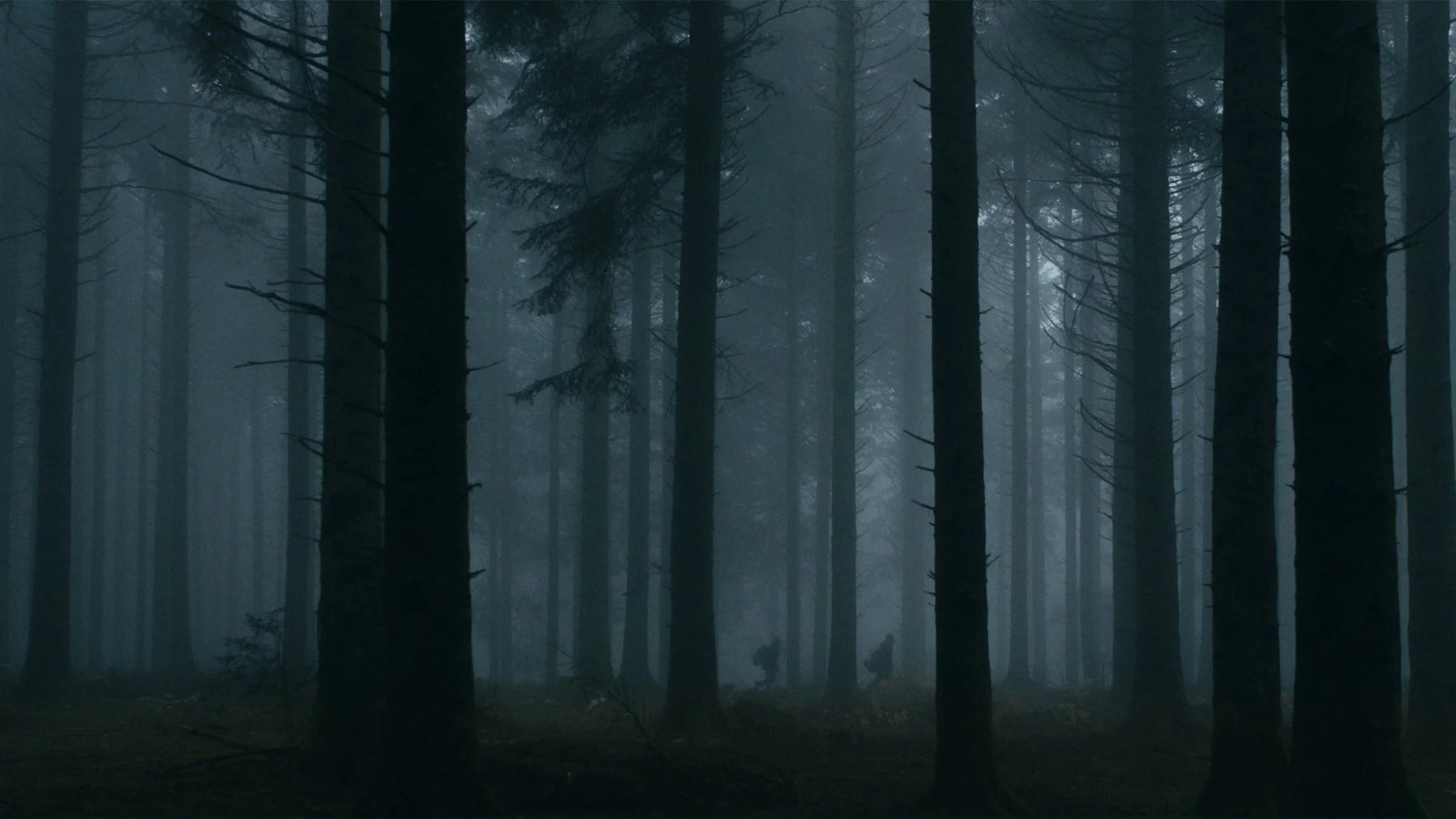 Photo 1 du film : Le Cœur Noir des Forêts