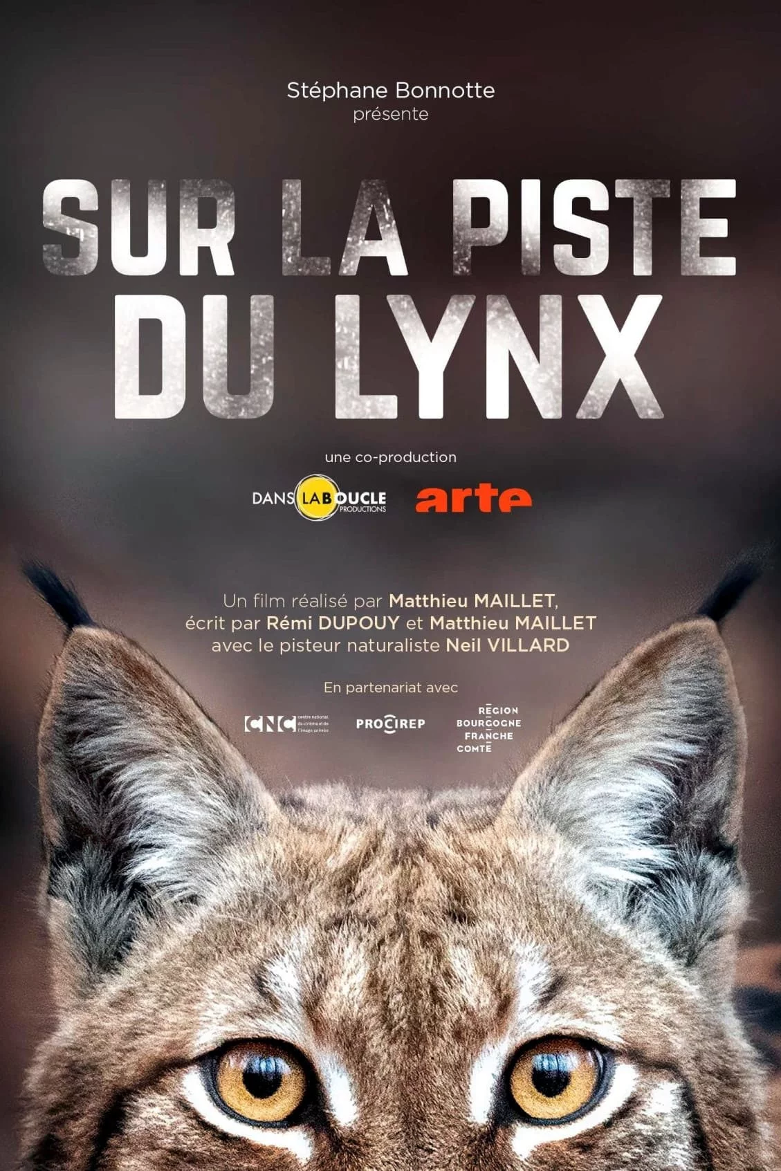 Photo 1 du film : Sur la piste du lynx