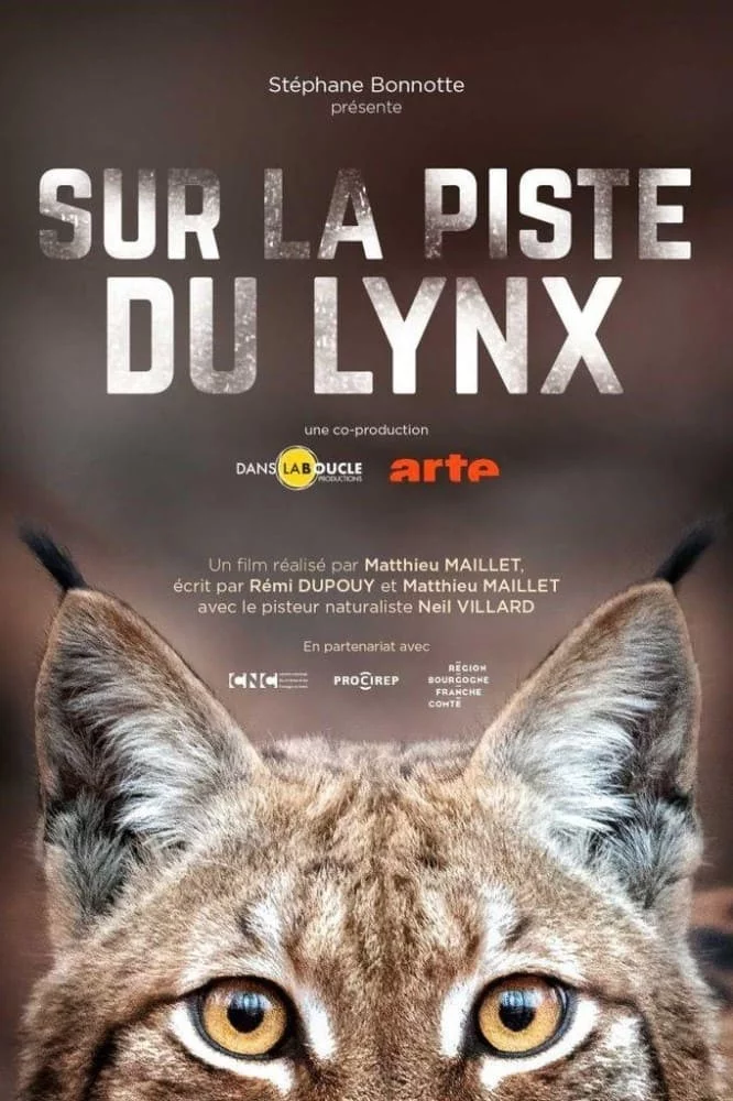Photo du film : Sur la piste du lynx