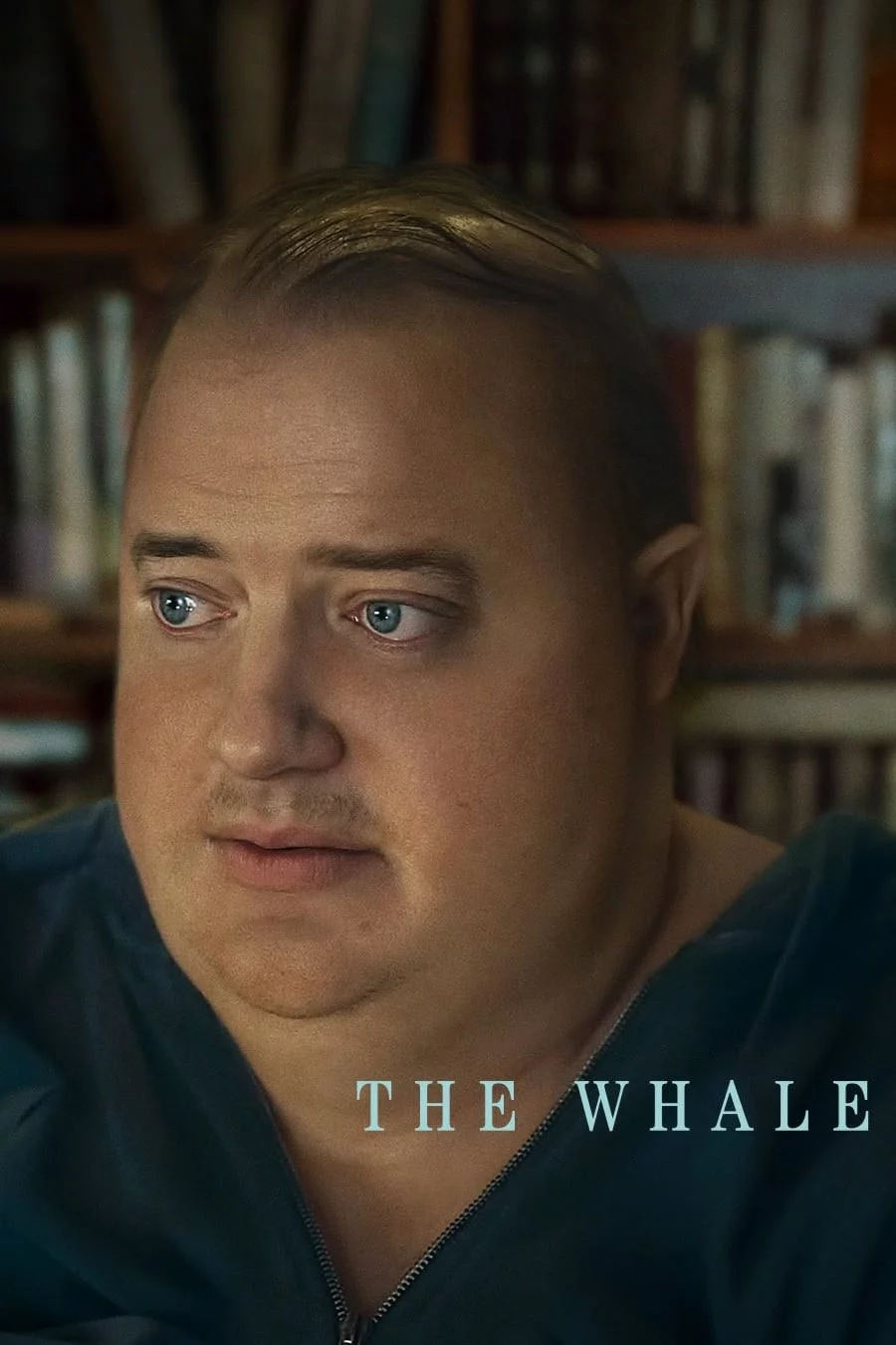 Photo 1 du film : The Whale