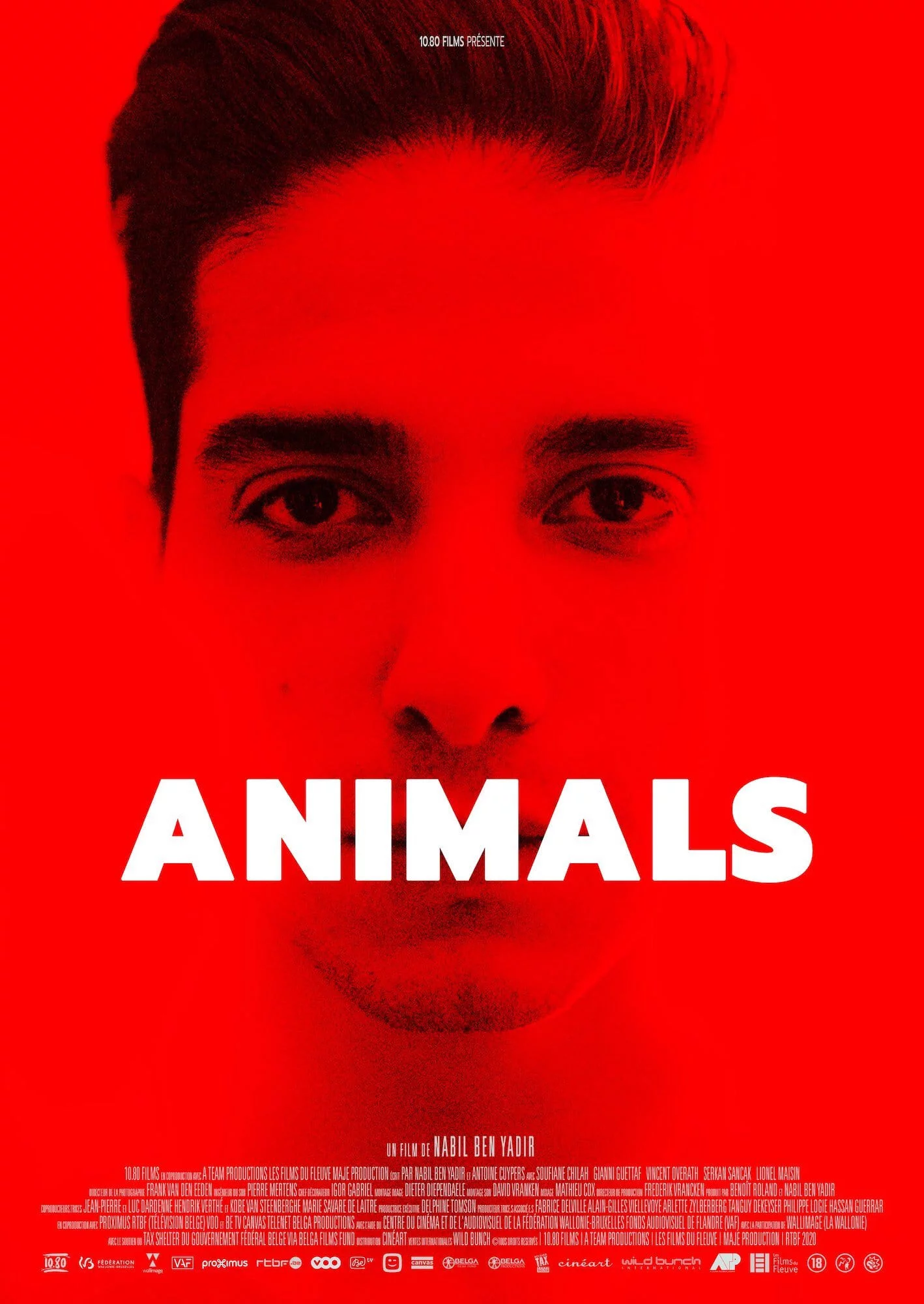 Photo 1 du film : Animals