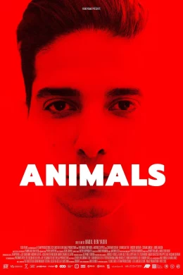 Affiche du film Animals