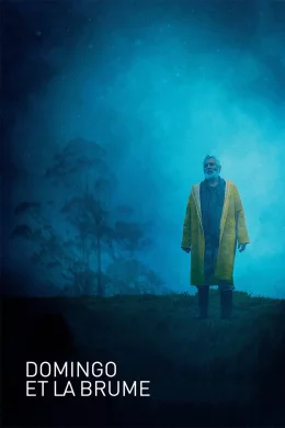 Affiche du film Domingo et la brume