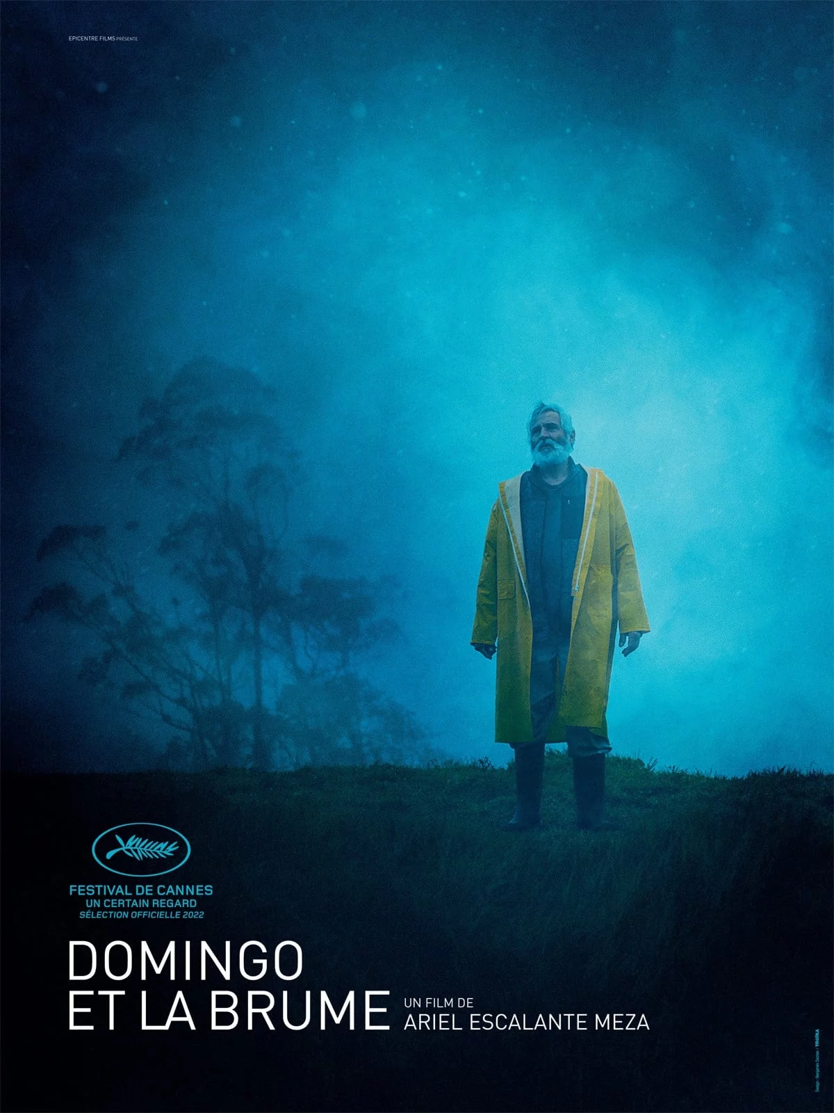 Photo 2 du film : Domingo et la brume
