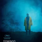 Photo du film : Domingo et la brume