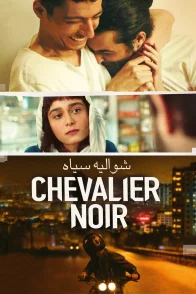 Une Affiche Pour Le Film Chouette Du Film Le Chevalier Noir.