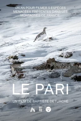 Affiche du film Le pari