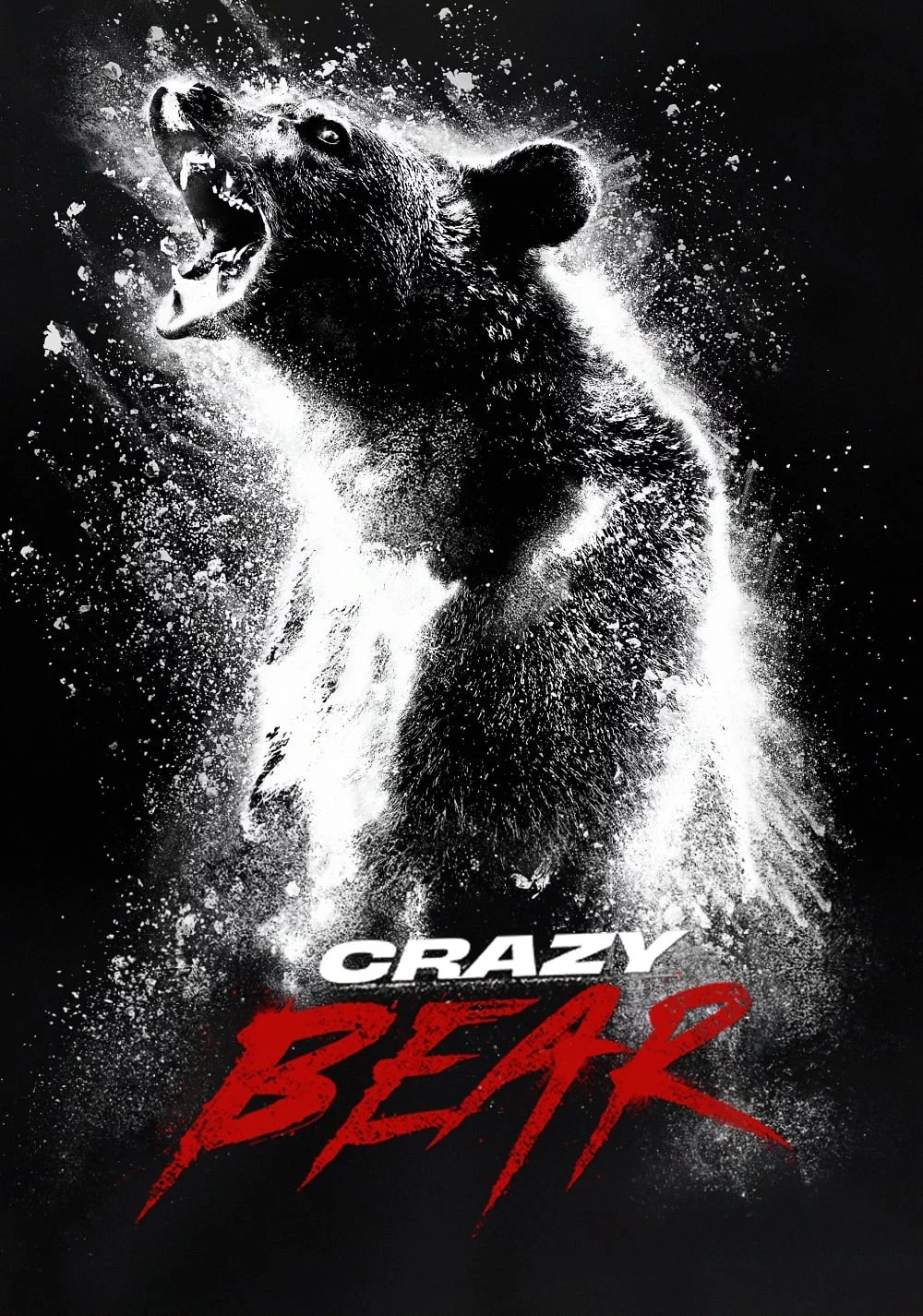Photo 1 du film : Crazy Bear