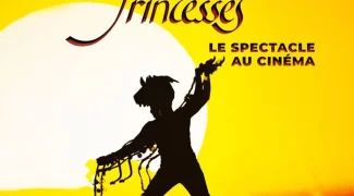 Affiche du film : Princes et princesses : le spectacle au cinéma