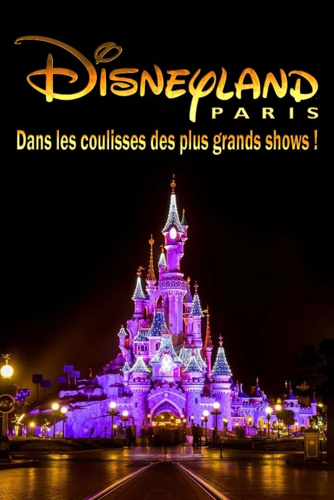 Photo 2 du film : Disneyland Paris : Dans les Coulisses des Plus Grands Shows !