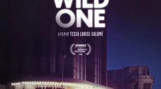Affiche du film : The Wild One