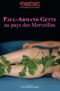 Affiche du film : Paul-Armand Gette au pays des merveilles