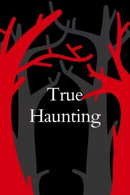 Affiche du film True Haunting