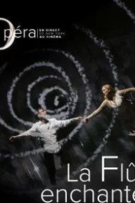 Affiche du film : La Flûte enchantée (Metropolitan Opera)
