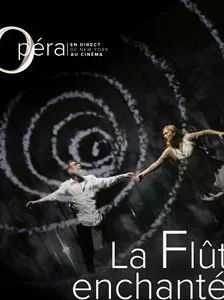 Affiche du film : La Flûte enchantée (Metropolitan Opera)