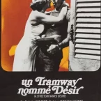 Photo du film : Un tramway nommé désir