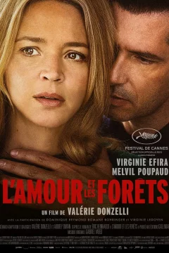 Affiche du film = L'amour et les forêts