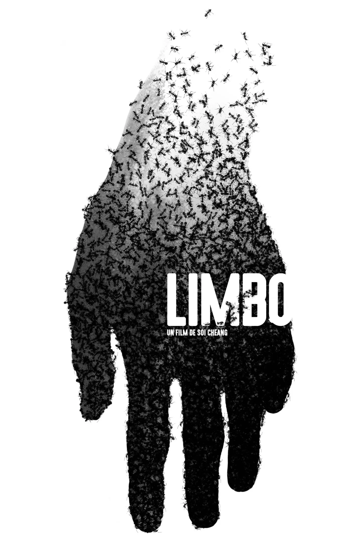 Photo 1 du film : Limbo