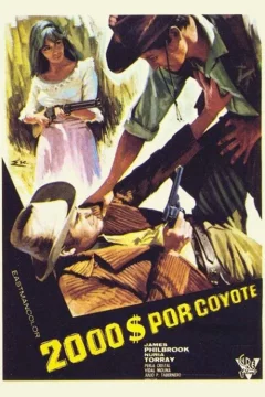 Affiche du film = Bravo Django