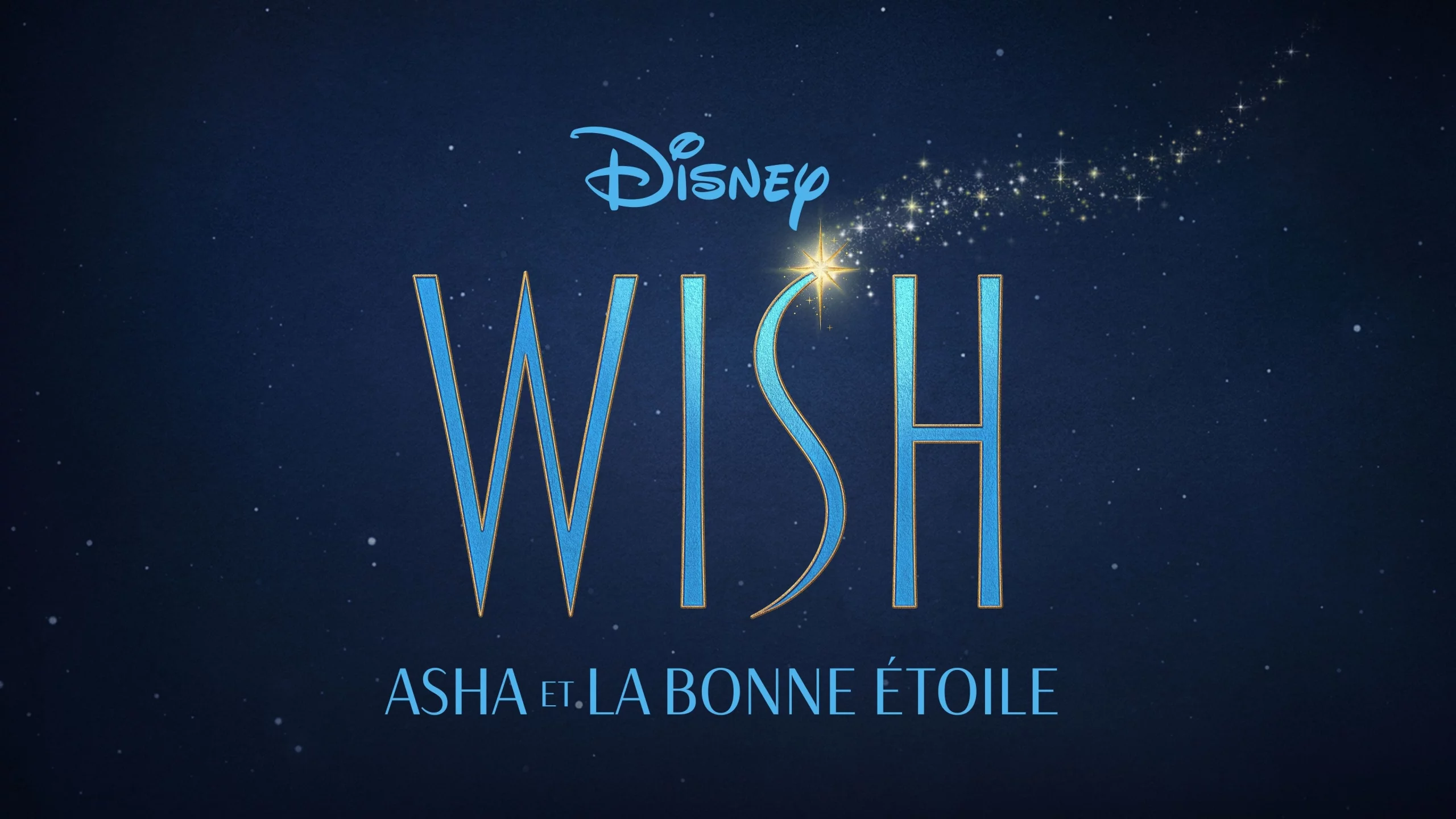 Photo du film : Wish - Asha et la bonne étoile
