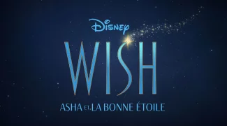 Affiche du film : Wish