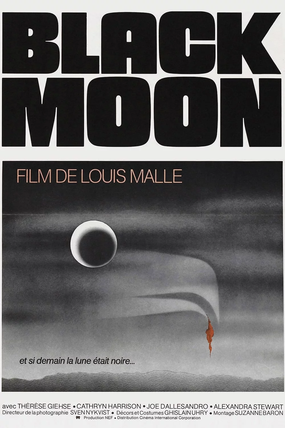 Photo 11 du film : Black moon