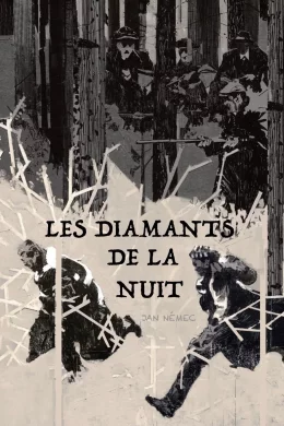 Affiche du film Les Diamants de la Nuit