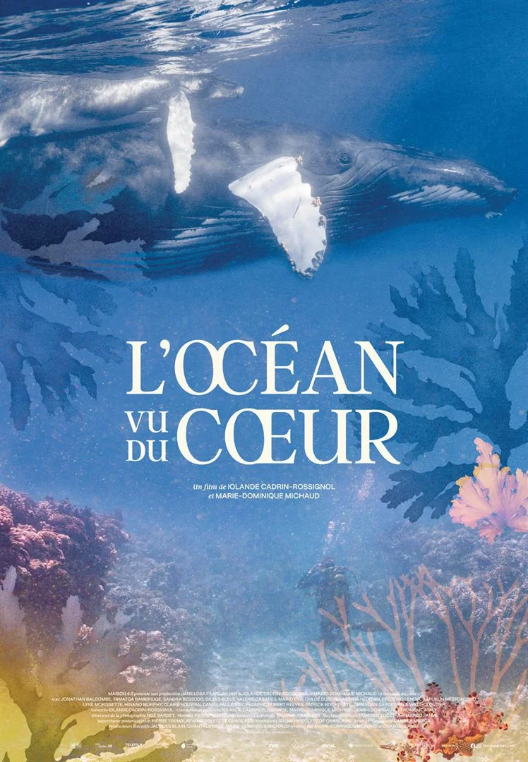 Photo du film : L'Océan vu du coeur