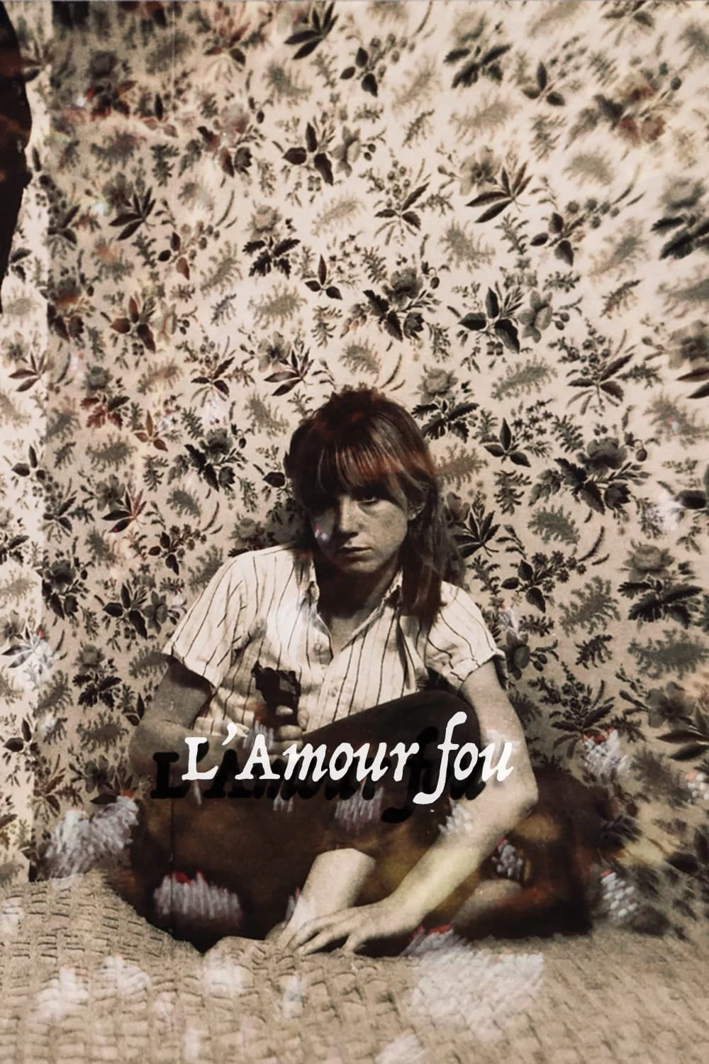 Photo 3 du film : L'amour fou
