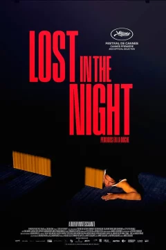 Affiche du film = Lost In The Night
