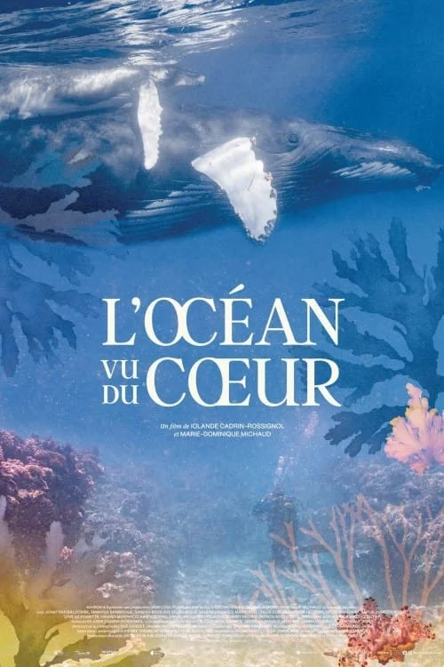 Photo du film : L'Océan vu du coeur
