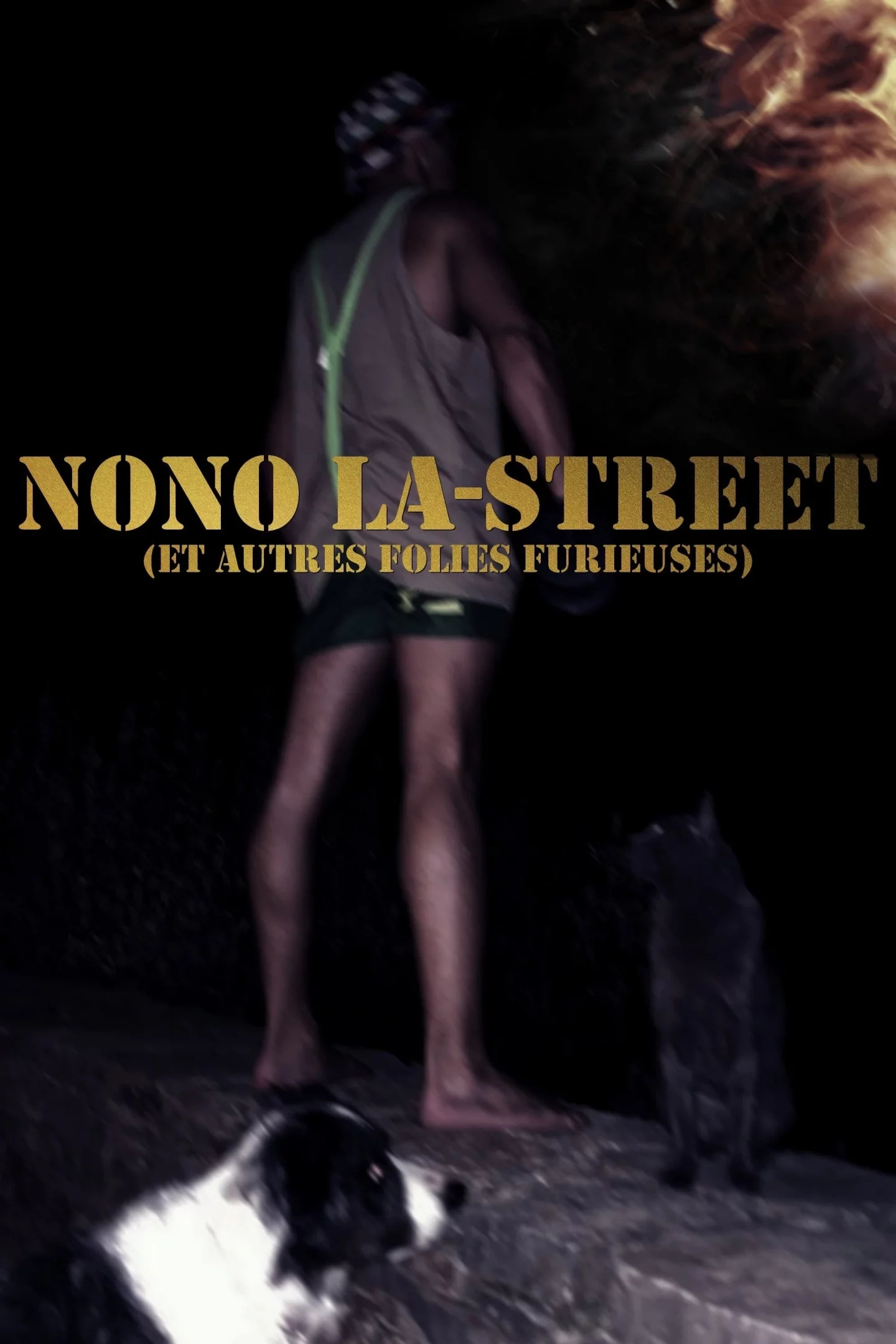 Photo 1 du film : Nono La-Street (et autres folies furieuses)