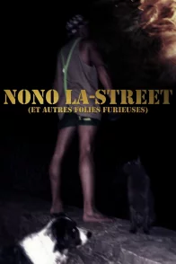 Affiche du film : Nono La-Street (et autres folies furieuses)