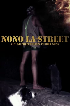 Affiche du film = Nono La-Street (et autres folies furieuses)