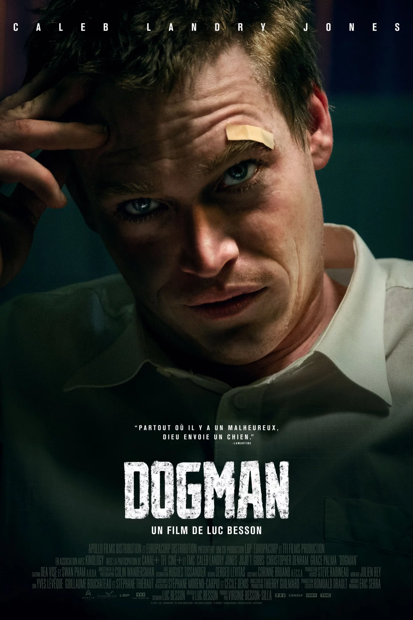 Photo 7 du film : DogMan