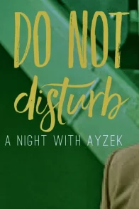 Affiche du film : Do Not Disturb