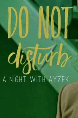 Affiche du film Do Not Disturb