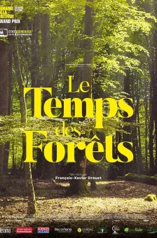 Affiche du film : Le Temps des forêts